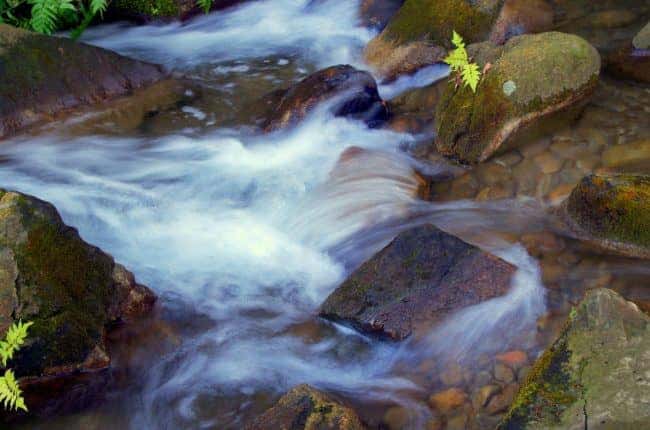 living water