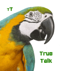 quotes