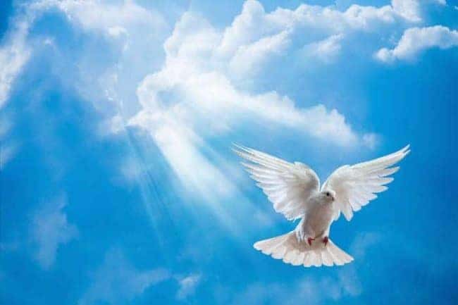 Holy Spirit
