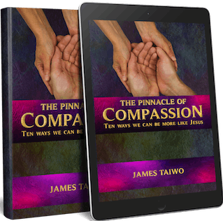 pinnacle of compassion book | God care