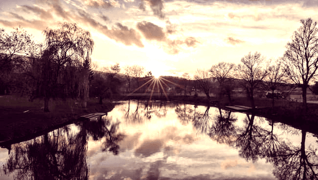 new dawn